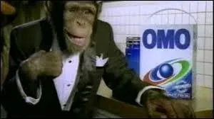 Chimpanzees are the mascots of OMO, a brand of...