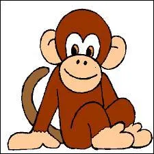 How do you translate monkey into English?