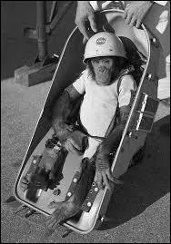 What is the name of the first chimpanzee in space?