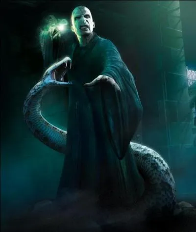 In Harry Potter , what is the name of the snake that accompanies Voldemort?