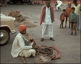 What's the name of the clarinet used by the snake charmer to bewitch snakes?