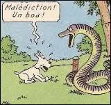 In which Tintin album does a boa try to devour Snowy?