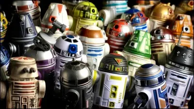 Which protocol droid was given to her by her husband?