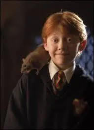 In Harry Potter , what is the name of the rat that belongs to Ron Weasley?