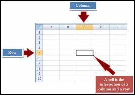 According to the picture which one is right for the highlighted cell?