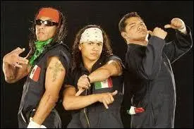 Remember theses guys riding to the ring on lawnmowers? well who are they?