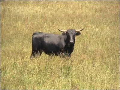 There is no need to see red, this question is simple! Take the question by the horns!