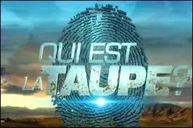 Who presented Who is the Mole? on M6 in 2015?