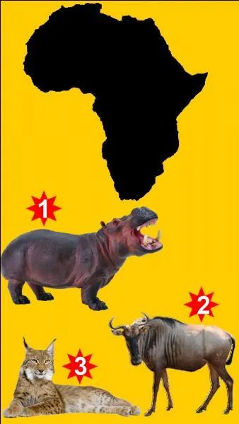 Which animal does not match this continent?