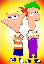How are Phineas and Ferb related in the cartoon of the same name?