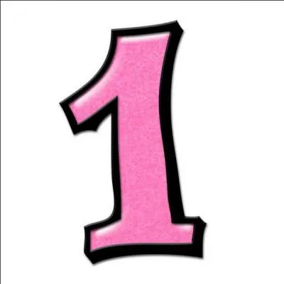 What is the name of a positive integer that has only 1 and itself as divisors?