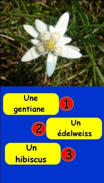 What is the correct number?