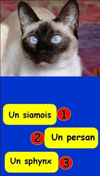 What is the correct number?