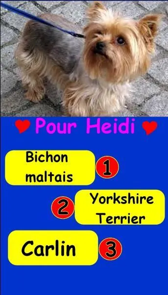 What is the correct number?