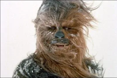 Who is this wookie?