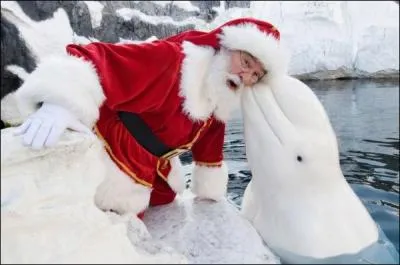 It's coming soon, so don't forget your little shoes!