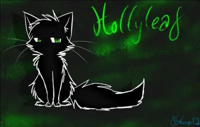 Let's move on.
What is Holly Leaf like?