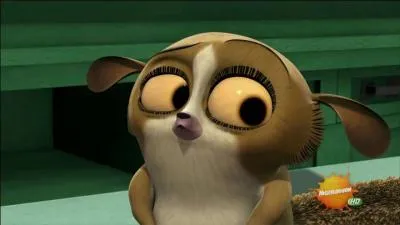 Find the name of this cute little lemur.