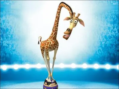 Try to find the name of this giraffe?