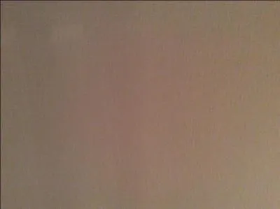 What is the singer's favorite color?