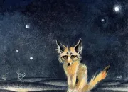 Quiz Le Petit Prince - Saint-Exupéry