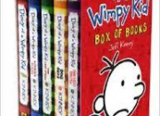 Diary of a wimpy kid lovers