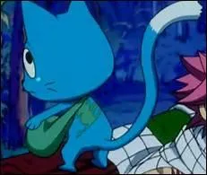 What Is Inside Happy Bag?