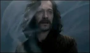 Who has killed Sirius?