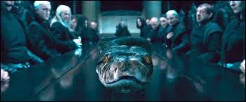 Who is the snake of Voldemort?