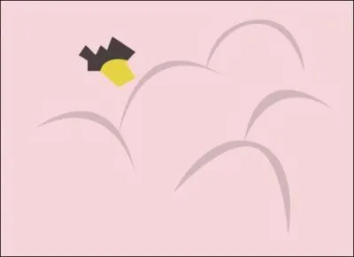 What is this Pokemon?