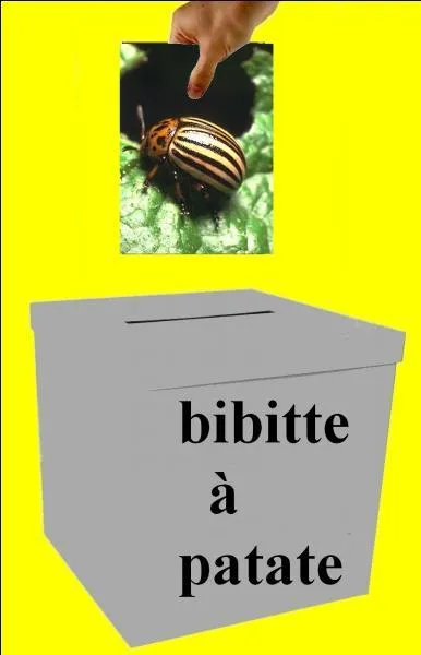 Is the image in the right box?