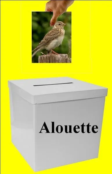 Is the image in the right box?