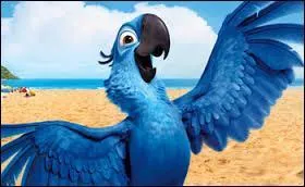What is the name of the parrot in the picture who is the hero of the film Rio?