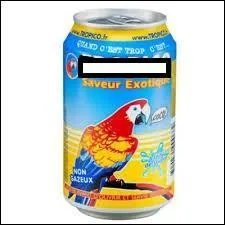 Which beverage brand has a parrot as its mascot?