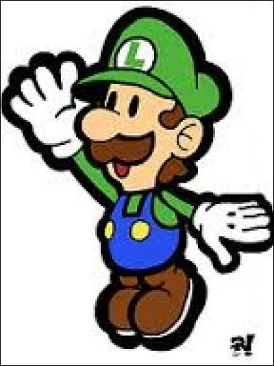 Paper Luigi is a playable character? If not, what the X button do?