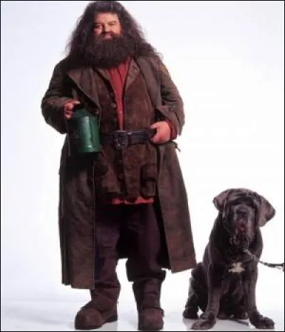 In Harry Potter, what's the name of Hagrid's dog?