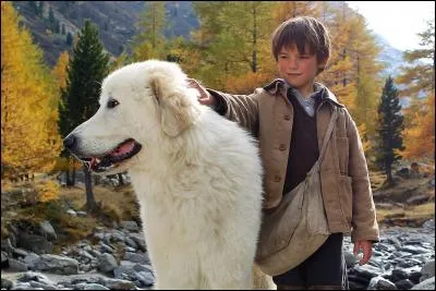 In this film by Nicolas Vernier, what is the name of Sebastien's dog?