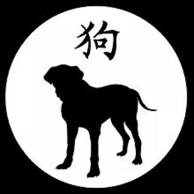 The dog is a Chinese astrology sign.