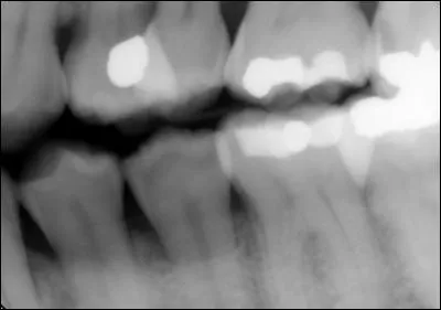 What type of image is this?