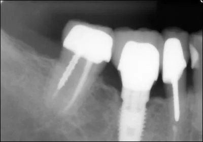 What type of image is this?