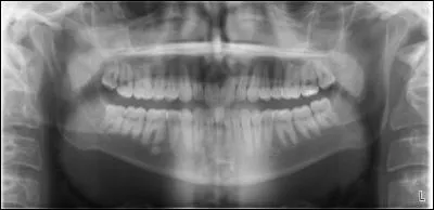 What type of image is this?