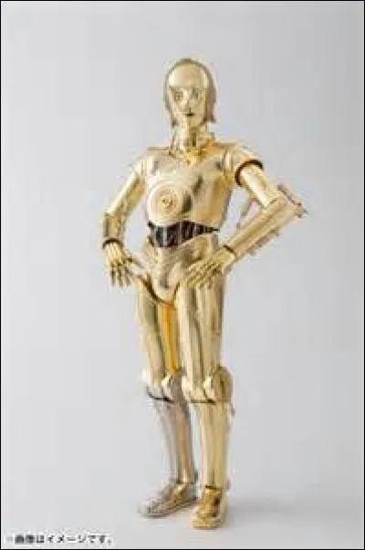 Protocol robot and R2-D2's faithful sidekick, his name is...