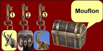 Which key will you choose?