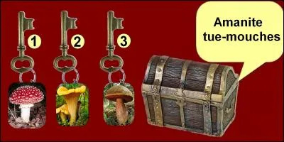 Which key will you choose?