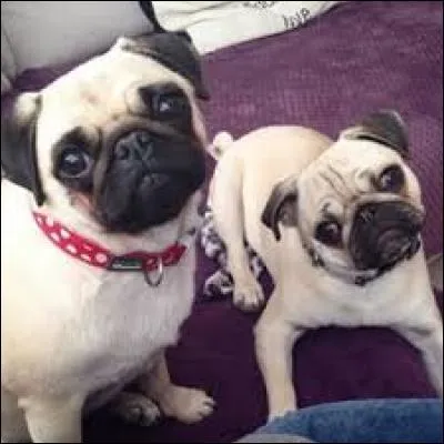 What are their names?