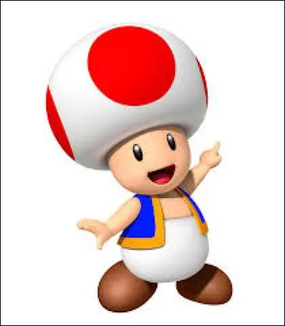 What's the name of the mushroom-shaped character in the Mario Bros. video game?