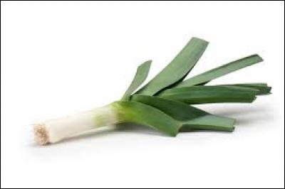 From which country is the leek the emblem?