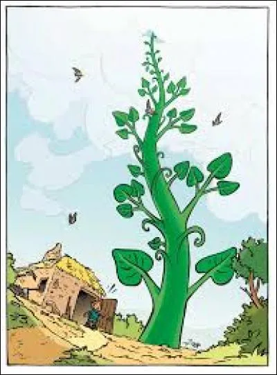 In a fairy tale, what is the name of the boy who possesses magic beans?