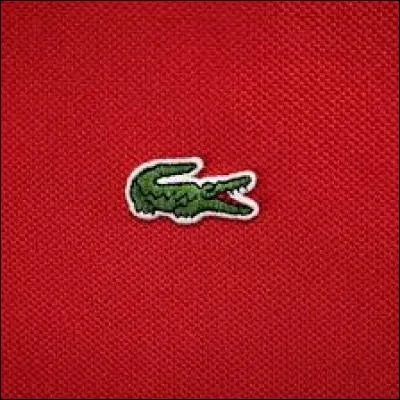 What is the name of this clothing/shoe brand?