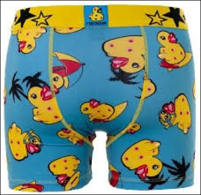 What is the name of this underwear brand?